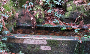 Herrgottsbrunnen #brunnen #wald #pfälzerwaldverein