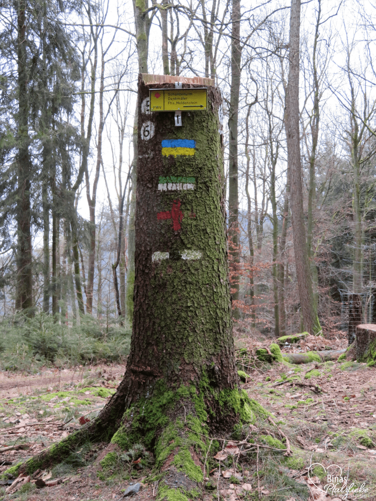 Baumstumpf mit Wegmarkierungen #wegmarkierung #pfälzerwald #wanderwege