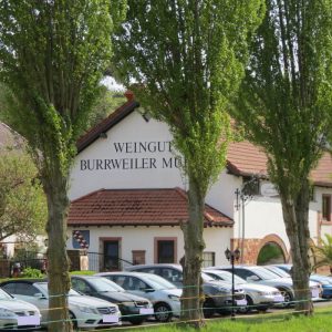 Weyher und Burrweiler Mühle