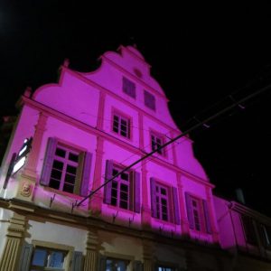 Der Frühling kommt - die Pfalz wird rosa! (Rosa Leuchten III)