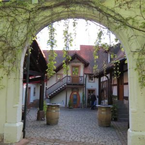 WeinTestival und KunstFestival in Rhodt unter Rietburg